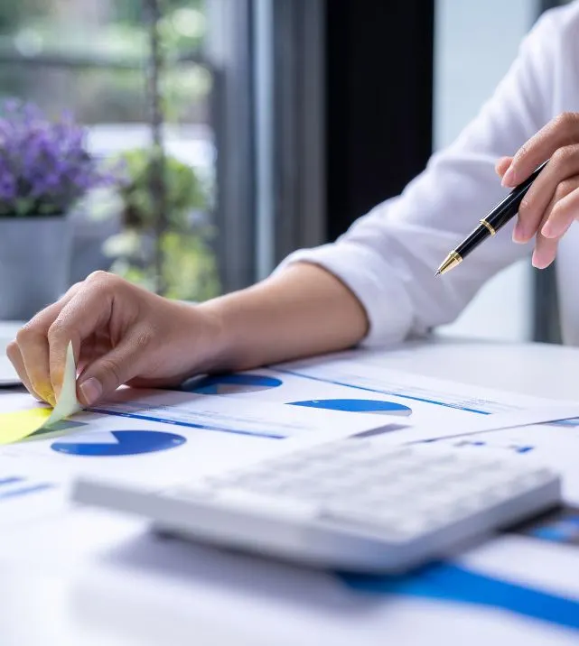 Tax-Assesment-HAS-Global-Tax-Consultant
