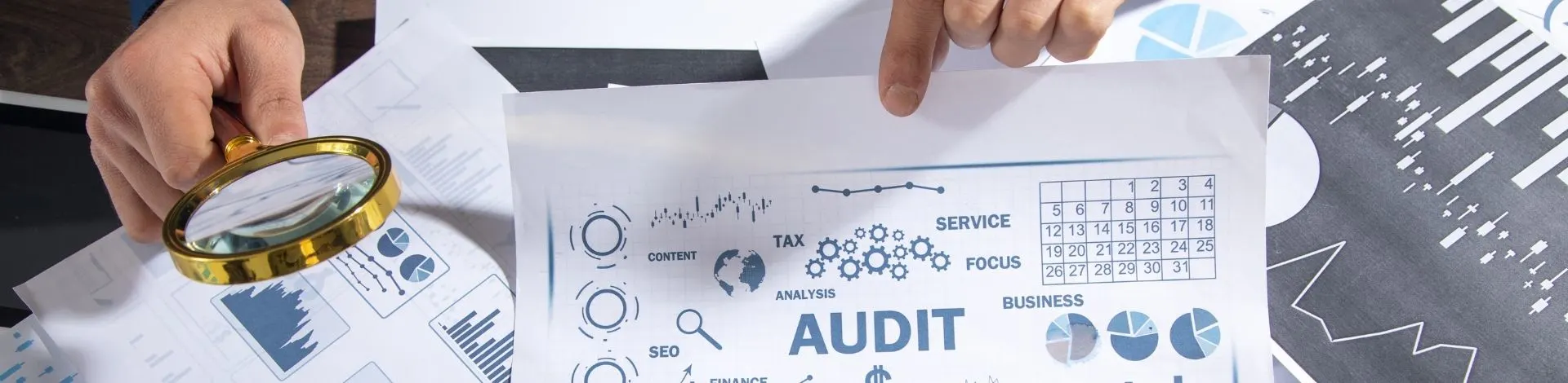VAT Audit