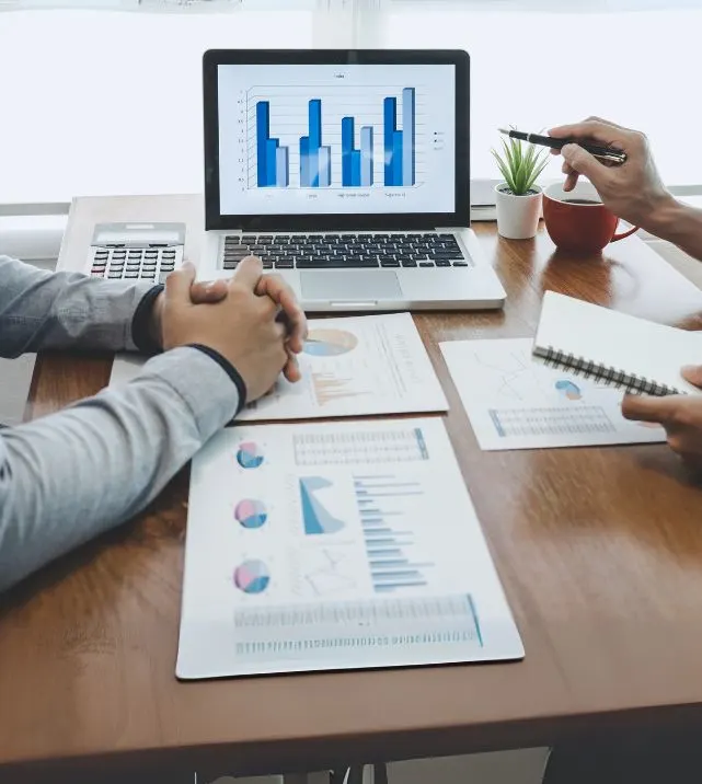 Transfer Pricing Advisory Services